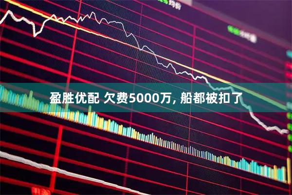 盈胜优配 欠费5000万, 船都被扣了